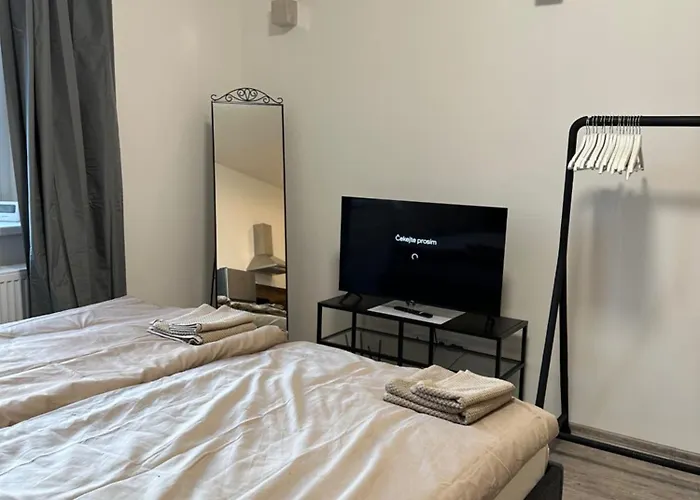 Apartman Palackeho