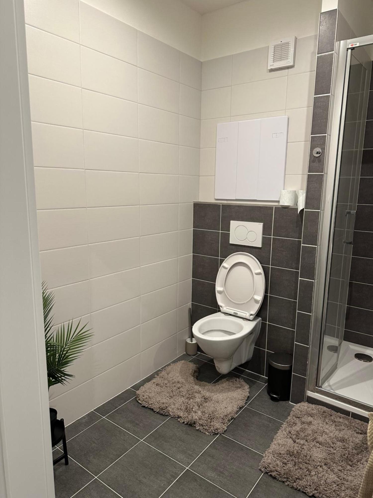 Palackeho Appartement *